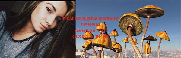 бошки Балахна